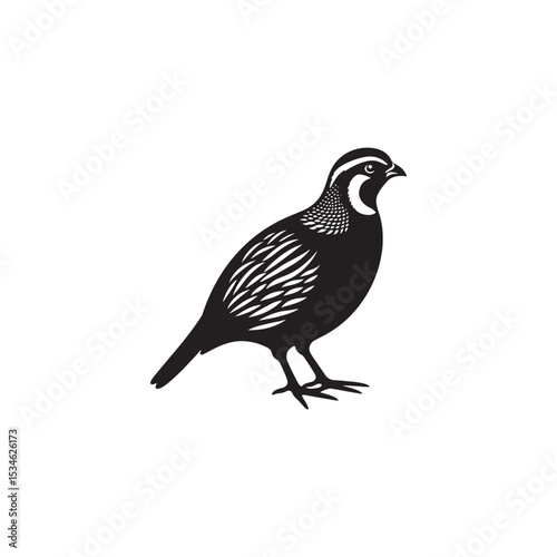 Chukar Partridge Silhouette Vector Design – Elegant Game Bird Artwork Featuring Distinctive Stripes, Bold Stance, Minimal Black Outline Style Perfect for Nature Prints, Logos, and Decor
