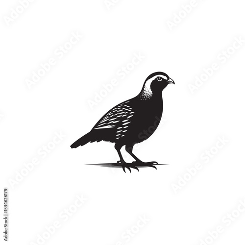 Chukar Partridge Silhouette Vector Design – Elegant Game Bird Artwork Featuring Distinctive Stripes, Bold Stance, Minimal Black Outline Style Perfect for Nature Prints, Logos, and Decor
