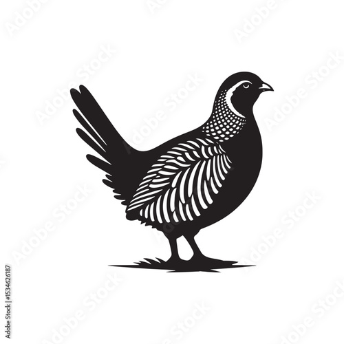 Chukar Partridge Silhouette Vector Design – Elegant Game Bird Artwork Featuring Distinctive Stripes, Bold Stance, Minimal Black Outline Style Perfect for Nature Prints, Logos, and Decor
