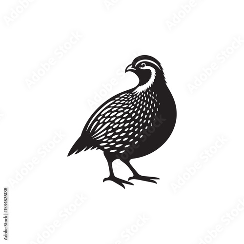 Chukar Partridge Silhouette Vector Design – Elegant Game Bird Artwork Featuring Distinctive Stripes, Bold Stance, Minimal Black Outline Style Perfect for Nature Prints, Logos, and Decor
