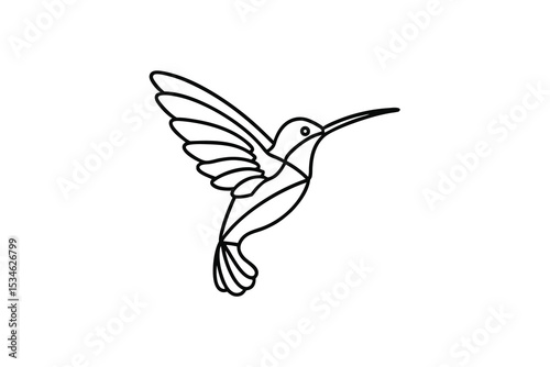 Elegant hummingbird line art bird design illustration