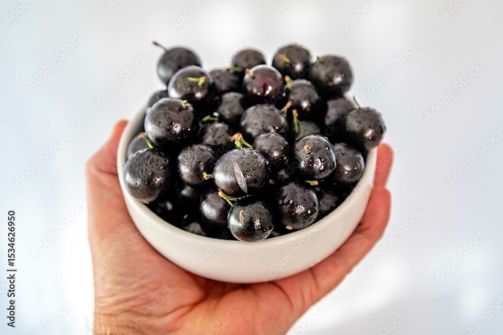 Beautiful and juicy ripe jabuticaba fruits in fine detail Beautiful and juicy ripe jabuticaba fruits in fine detail