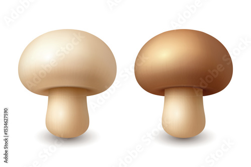 Vector 3d Realistic White and Brown Champignon Mushrooms. Fresh Mushroom Illustration for Food Packaging, Cooking Ingredients, Grocery Clipart, Culinary Design, Vegan Recipes, Organic Product Icons