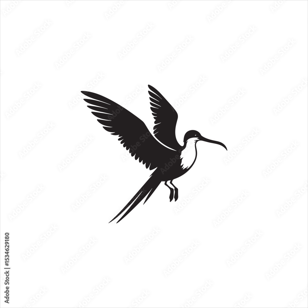Obraz premium Soaring Frigatebird Silhouette Vector – Majestic Seabird with Inflated Throat Pouch, Long Wingspan, Minimal Black Outline Perfect for Nautical Wildlife Art, Logos, and Decor 