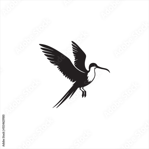 Soaring Frigatebird Silhouette Vector – Majestic Seabird with Inflated Throat Pouch, Long Wingspan, Minimal Black Outline Perfect for Nautical Wildlife Art, Logos, and Decor
