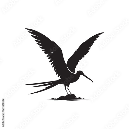 Soaring Frigatebird Silhouette Vector – Majestic Seabird with Inflated Throat Pouch, Long Wingspan, Minimal Black Outline Perfect for Nautical Wildlife Art, Logos, and Decor
