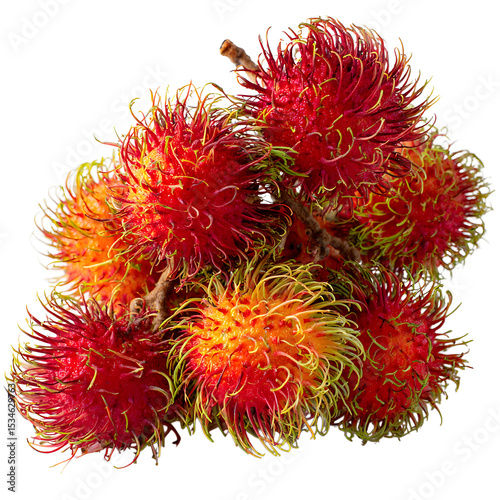 A cluster of vibrant red and yellow rambutans, isolated on transparent background, showcases their hairy texture and juicy appearance