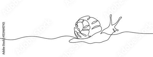 Continuous line snail Hand drawn vector art lines on transparent background. Editable strokes.
