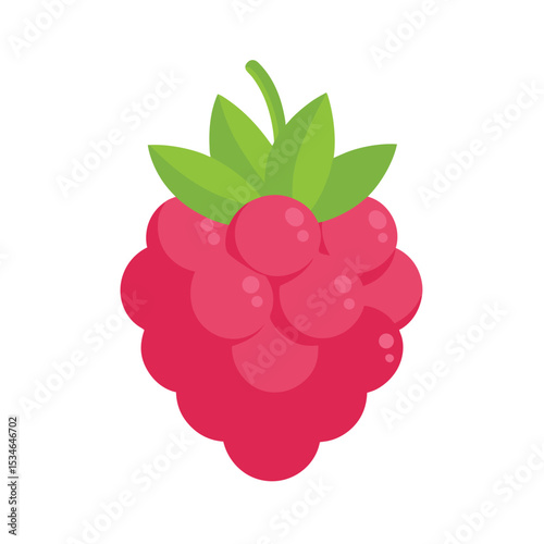 Vibrant Raspberry Illustration A Delightful Summer Berry Design