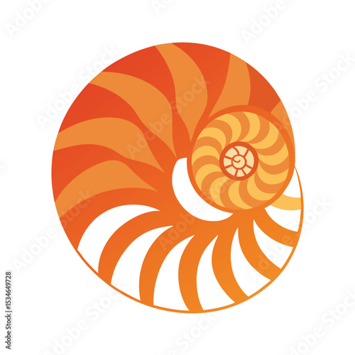Nautilus Shell Spiral Design, Ocean Life, Abstract Art Illustration