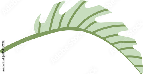 Curved Tropical Leaf