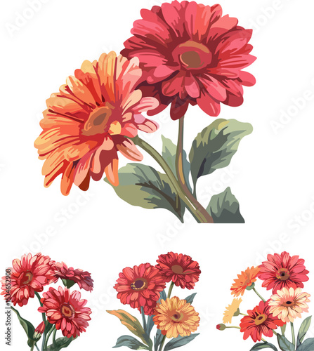 set of garbera flowers in color style, white background