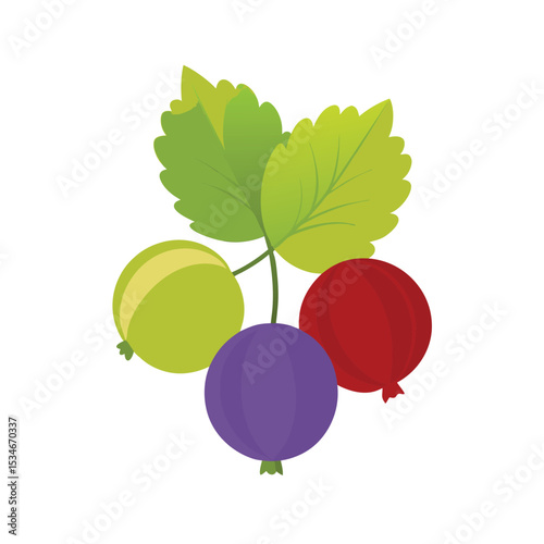 Vibrant Gooseberries A Colorful Trio of Green, Purple, and Red Berries