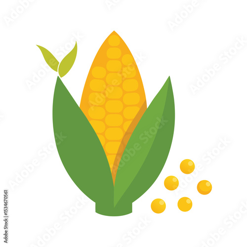 Sweet Corn Illustration Fresh, Ripe, and Ready to Eat
