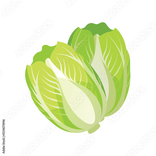 Fresh Napa Cabbage Vibrant Green Vegetables, Healthy Eating