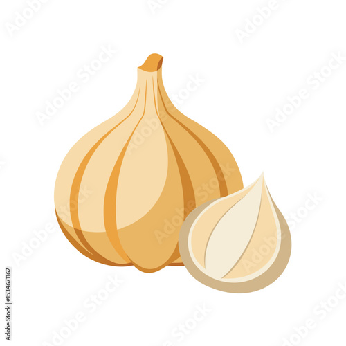 Fresh Garlic Bulb and Clove Aromatic, Flavorful, Culinary Uses