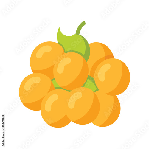Cloudberry Illustration A Vibrant Cluster of Golden Berries