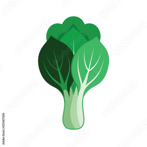 Vibrant Bok Choy Illustration Fresh Green Vegetables, Healthy Eating
