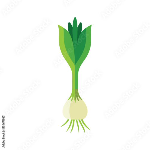 Vibrant Spring Onion Fresh Green Vegetable Illustration