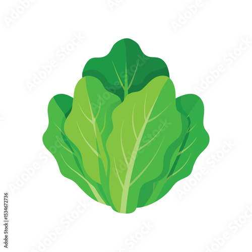 Vibrant Green Lettuce Leaves Fresh, Healthy, and Delicious