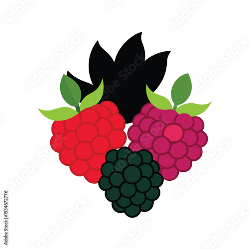 Sweet Berry Trio Raspberries and Blackberries Delight