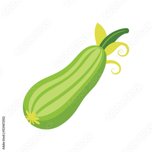 Vibrant Green Zucchini A Fresh and Healthy Vegetable Illustration