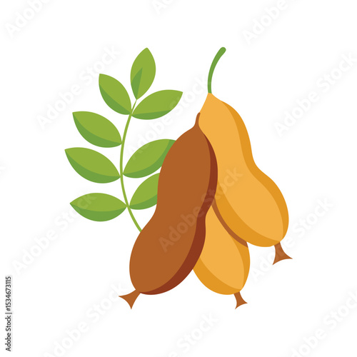 Vibrant Tamarind Illustration Tropical Fruit with Lush Green Leaves