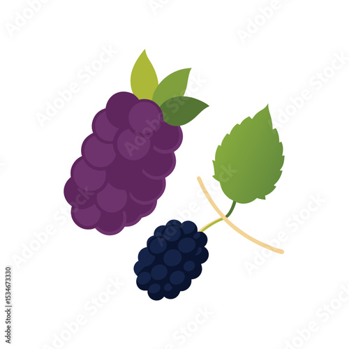 Fresh Blackberries Juicy, Sweet, and Ripe Berries Illustration