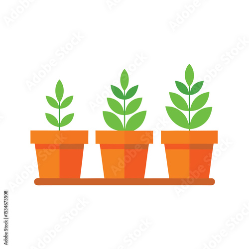 Growth Stages of Plants From Seedling to Mature Plant in Pots