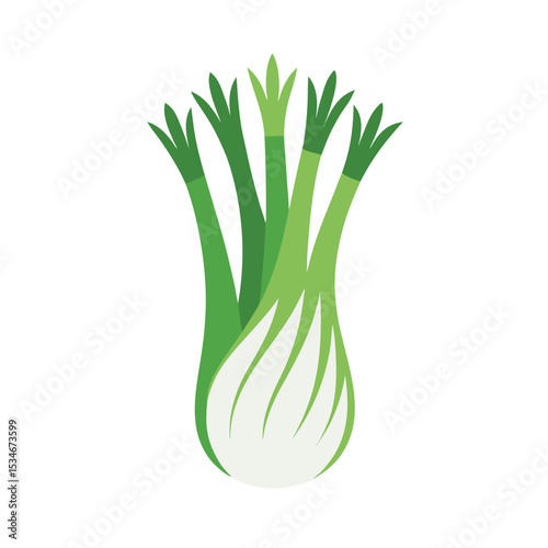 Fresh Fennel Bulb A Vibrant Illustration of Healthy Herbs and Vegetables