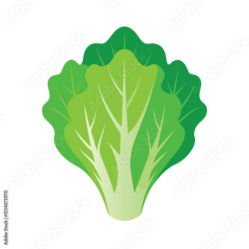 Fresh Green Lettuce Leaves A Vibrant Illustration of Healthy Eating