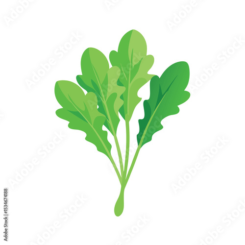 Vibrant Green Arugula Leaves Fresh, Zesty, and Full of Flavor