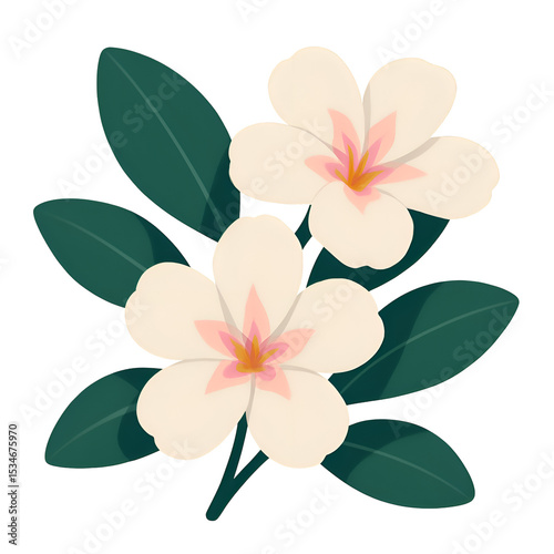 Elegant White Flower with Green Leaves on Transparent Background for Botanical and Nature Themes