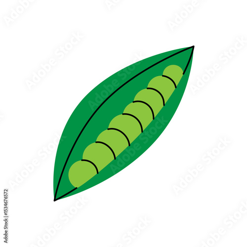 Bunch of peas. Fresh organic vegetable. Vector illustration