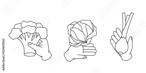 Hands holding vegetables. Broccoli, cabbage and green onion. Minimalist vector drawing for coloring books, education or healthy food design