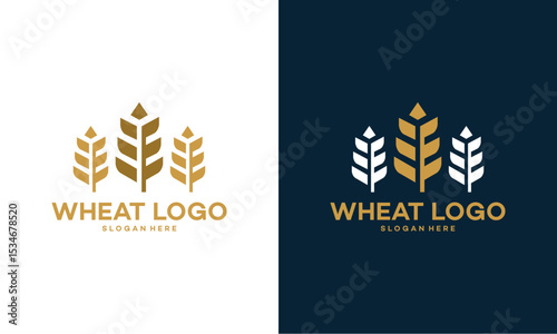 Luxury Grain wheat logo concept, Agriculture wheat Logo Template vector icon
