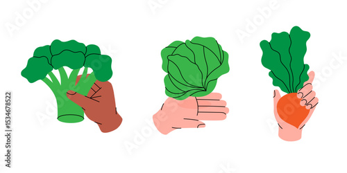 Set of cartoon hands holding fresh vegetables. Broccoli, lettuce and beetroot. Healthy eating. Organic farm vegetables. Vector illustration.