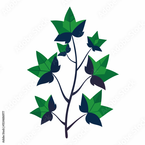 Minimal Midnight Ivy Design