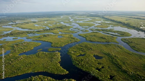 Aerial View of Lush Wetland Landscape with Meandering Waterways