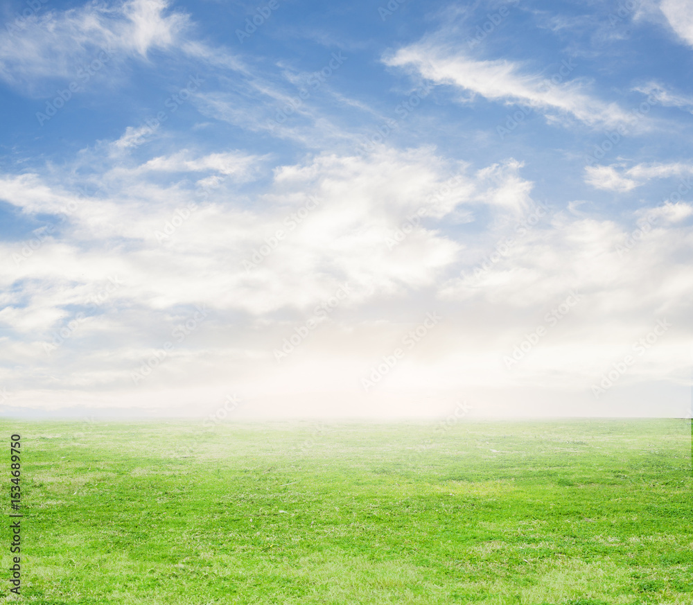 green grass and blue sky green grass and blue sky