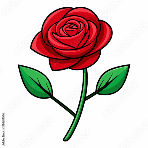 Red Rose on White Background