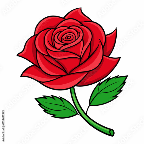 Red Rose on White Background