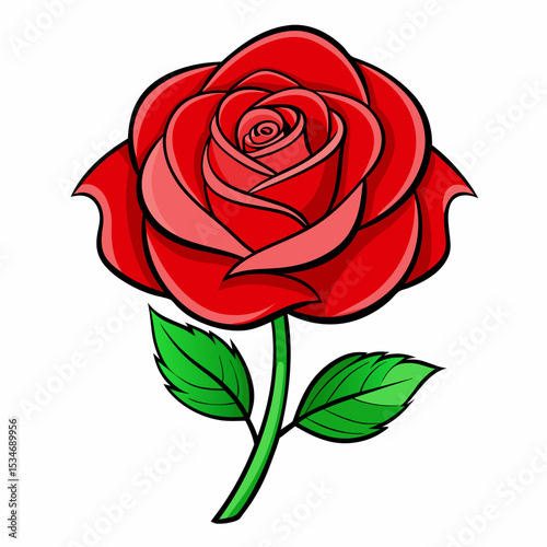 Red Rose on White Background