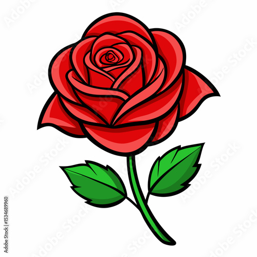 Red Rose on White Background