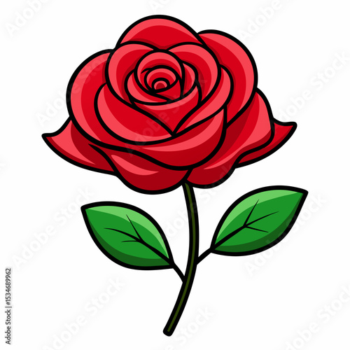 Red Rose on White Background