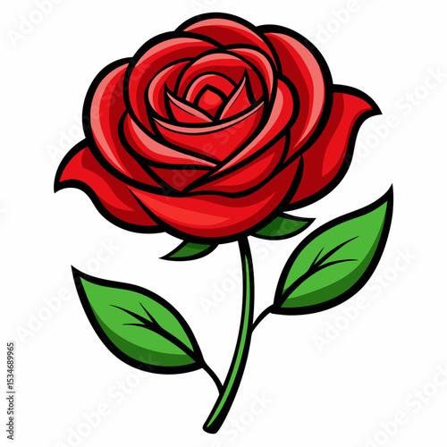 Red Rose on White Background