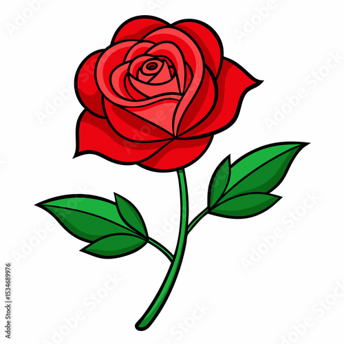 Red Rose on White Background