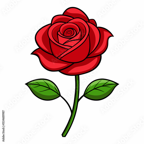Red Rose on White Background