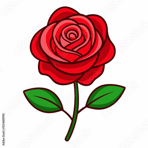 Red Rose on White Background