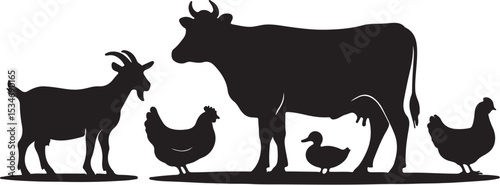 Photography wild animals silhouettes